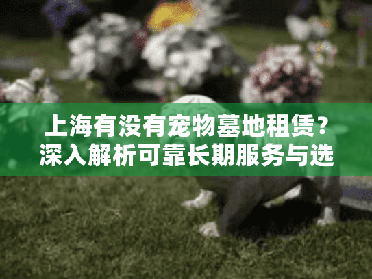 上海有没有宠物墓地租赁？深入解析可靠长期服务与选择