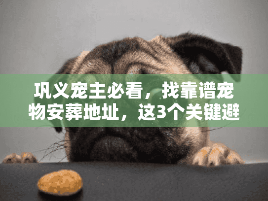 这3个关键避坑点90图片