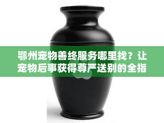 鄂州宠物善终服务哪里找？让宠物后事获得尊严送别的全指南