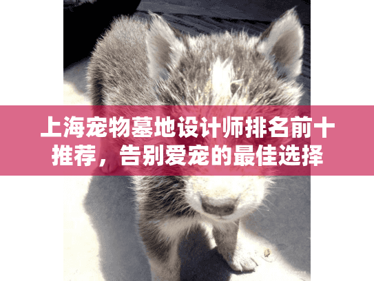 上海宠物墓地设计师排名前十推荐，告别爱宠的最佳选择