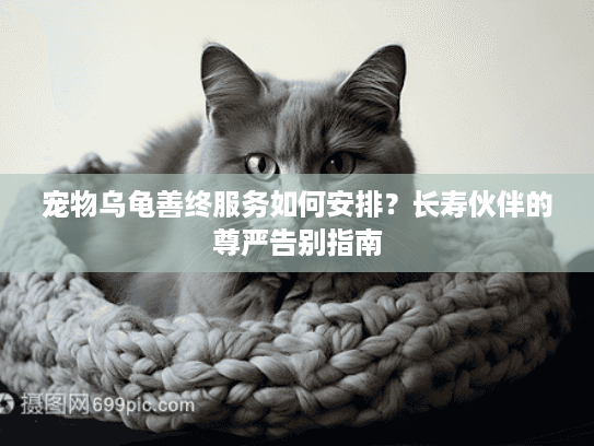 宠物乌龟善终服务如何安排？长寿伙伴的尊严告别指南