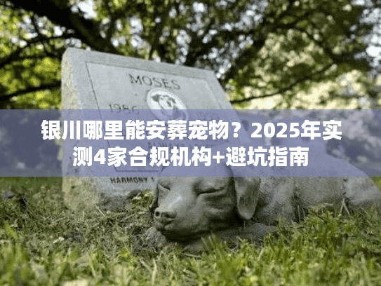 银川哪里能安葬宠物？2025年实测4家合规机构+避坑指南