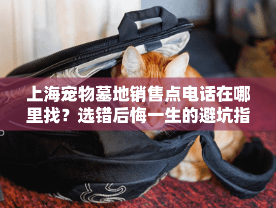 上海宠物墓地销售点电话在哪里找？选错后悔一生的避坑指南