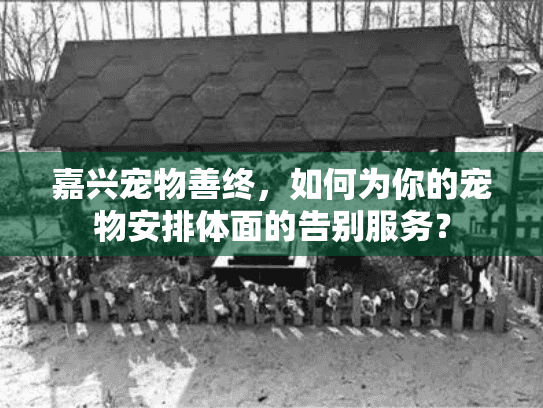 嘉兴宠物善终，如何为你的宠物安排体面的告别服务？