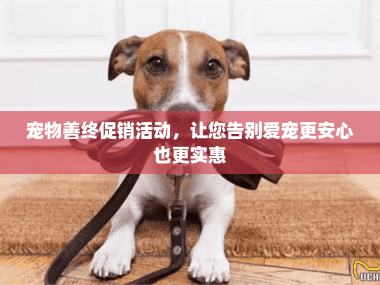 宠物善终促销活动，让您告别爱宠更安心也更实惠