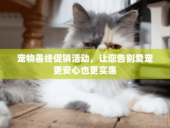 宠物善终促销活动，让您告别爱宠更安心也更实惠