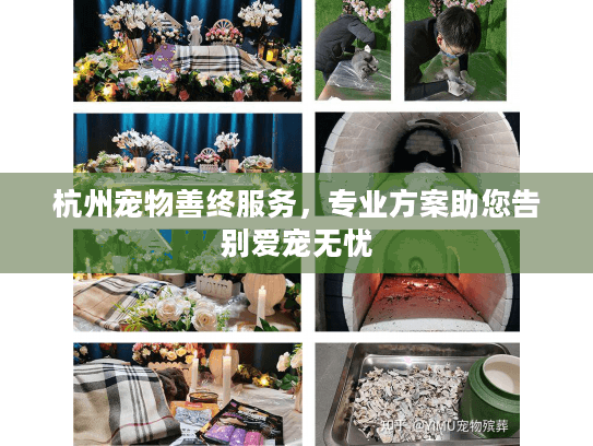 杭州宠物善终服务，专业方案助您告别爱宠无忧