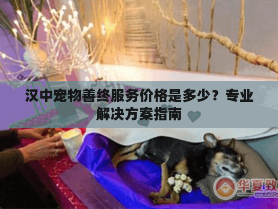 汉中宠物善终服务价格是多少？专业解决方案指南