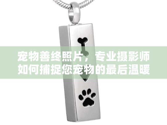 宠物善终照片，专业摄影师如何捕捉您宠物的最后温暖时刻？