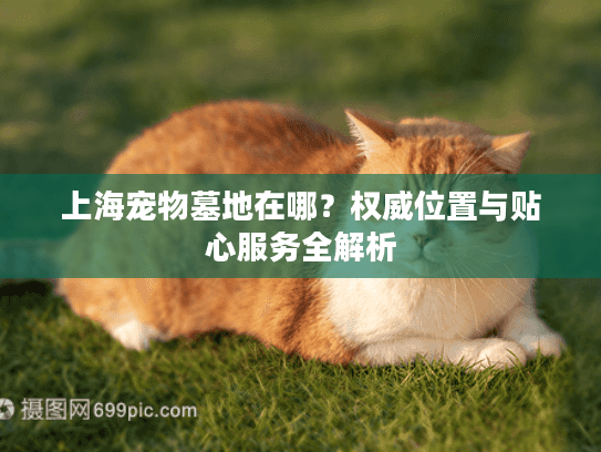 上海宠物墓地在哪？权威位置与贴心服务全解析