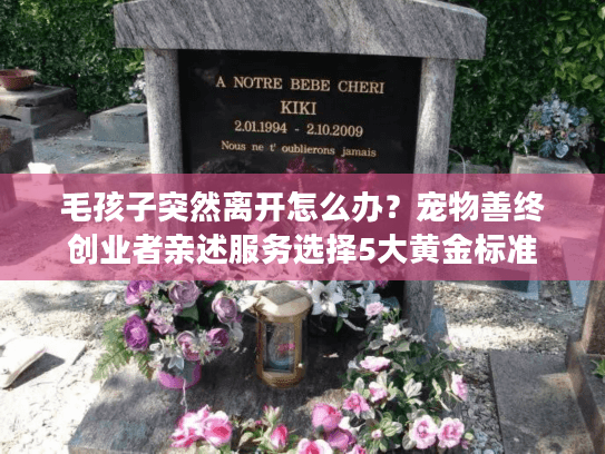 毛孩子突然离开怎么办？宠物善终创业者亲述服务选择5大黄金标准