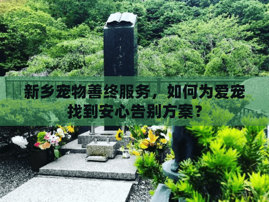 新乡宠物善终服务，如何为爱宠找到安心告别方案？