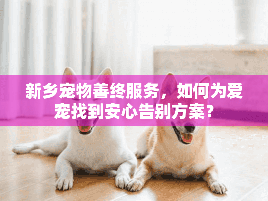 新乡宠物善终服务，如何为爱宠找到安心告别方案？