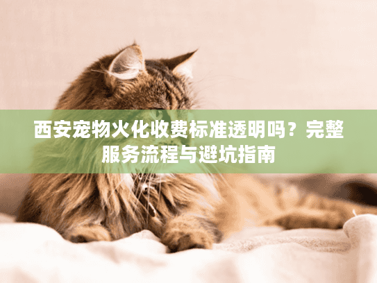 西安宠物火化收费标准透明吗?完整服务流程与避坑指南 西安宠物火化收费标准透明吗?完整服务流程与避坑指南