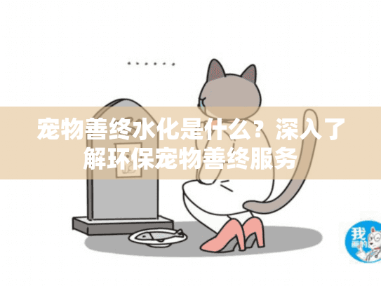 宠物善终水化是什么?深入了解环保宠物善终服务 宠物善终水化是什么?深入了解环保宠物善终服务