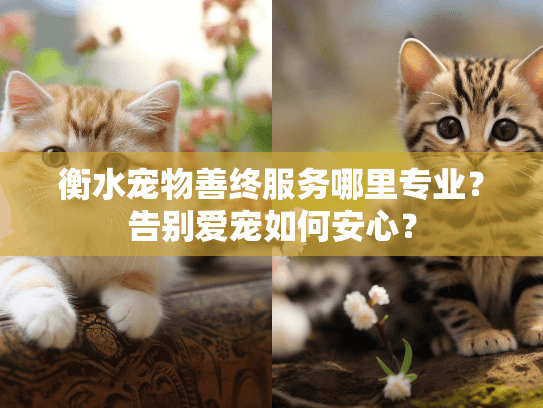 衡水宠物善终服务哪里专业？告别爱宠如何安心？