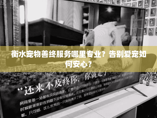 衡水宠物善终服务哪里专业？告别爱宠如何安心？