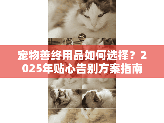 宠物善终用品如何选择？2025年贴心告别方案指南