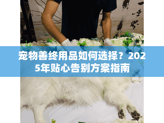 宠物善终用品如何选择？2025年贴心告别方案指南