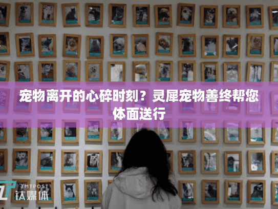 宠物离开的心碎时刻？灵犀宠物善终帮您体面送行