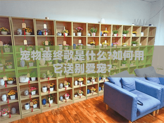 宠物善终歌是什么?如何用它送别爱宠?
