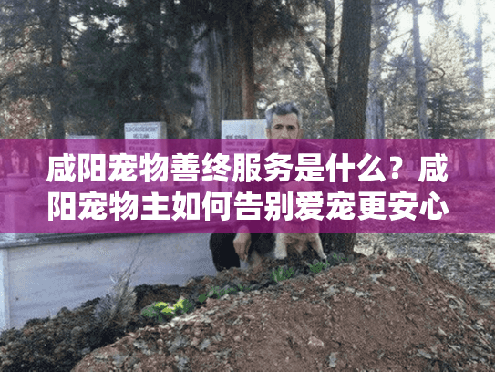 咸阳宠物善终服务是什么？咸阳宠物主如何告别爱宠更安心？