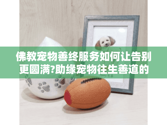 佛教宠物善终服务如何让告别更圆满?助缘宠物往生善道的慈悲方案
