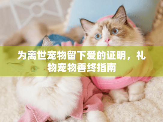 为离世宠物留下爱的证明，礼物宠物善终指南