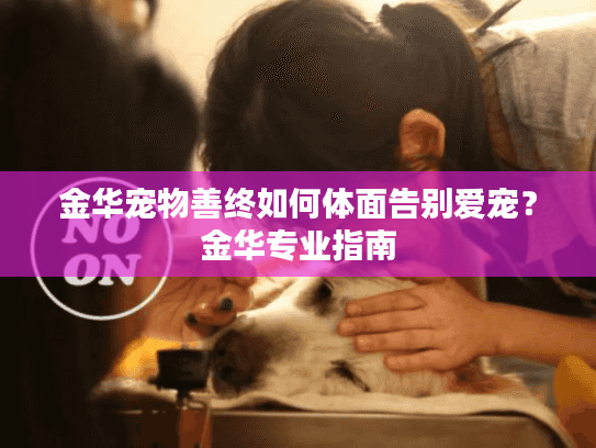 金华宠物善终如何体面告别爱宠？金华专业指南
