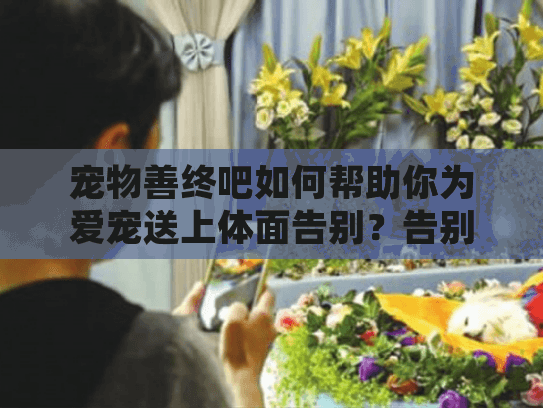 宠物善终吧如何帮助你为爱宠送上体面告别？告别爱宠不再手足无措