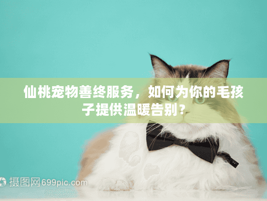 仙桃宠物善终服务,如何为你的毛孩子提供温暖告别? 仙桃宠物善终服务,如何为你的毛孩子提供温暖告别?