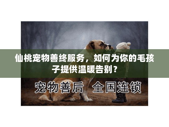 仙桃宠物善终服务，如何为你的毛孩子提供温暖告别？