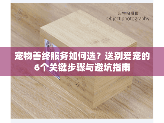 宠物善终服务如何选？送别爱宠的6个关键步骤与避坑指南
