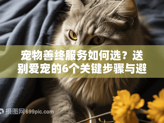 宠物善终服务如何选？送别爱宠的6个关键步骤与避坑指南