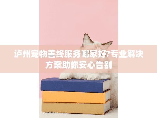 泸州宠物善终服务哪家好?专业解决方案助你安心告别