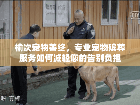 榆次宠物善终，专业宠物殡葬服务如何减轻您的告别负担