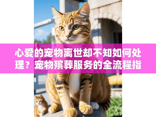 心爱的宠物离世却不知如何处理？宠物殡葬服务的全流程指南
