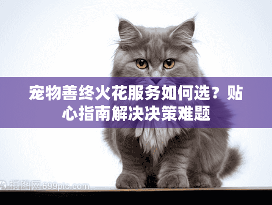 宠物善终火花服务如何选？贴心指南解决决策难题
