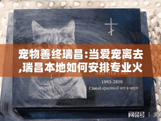 宠物善终瑞昌:当爱宠离去,瑞昌本地如何安排专业火化告别? 宠物善终瑞昌:当爱宠离去,瑞昌本地如何安排专业火化告别?