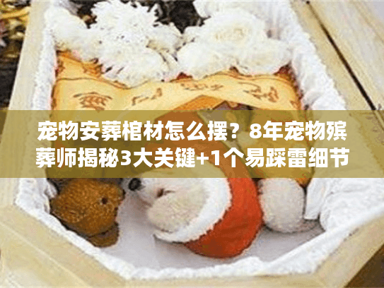 宠物安葬棺材怎么摆？8年宠物殡葬师揭秘3大关键+1个易踩雷细节
