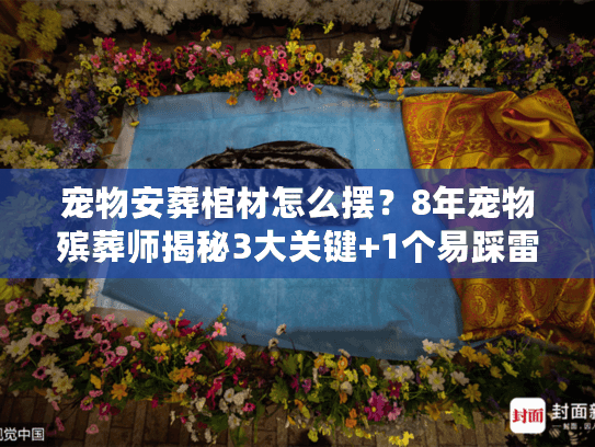 宠物安葬棺材怎么摆？8年宠物殡葬师揭秘3大关键+1个易踩雷细节