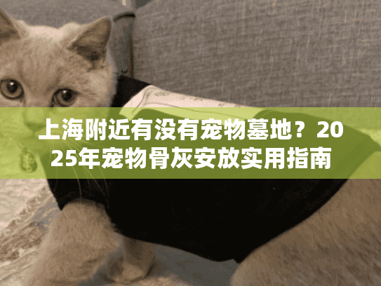上海附近有没有宠物墓地？2025年宠物骨灰安放实用指南
