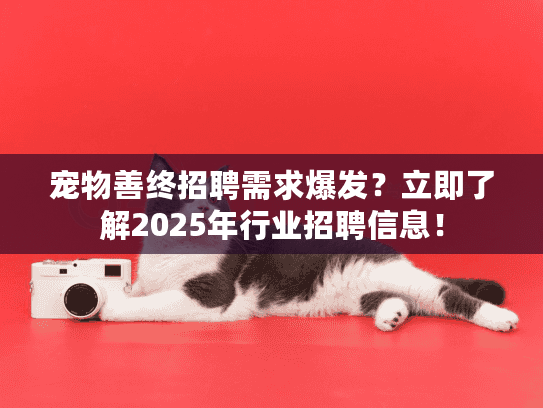 宠物善终招聘需求爆发？立即了解2025年行业招聘信息！