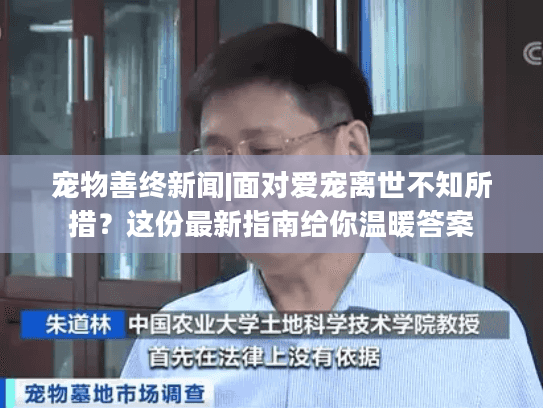 宠物善终新闻|面对爱宠离世不知所措？这份最新指南给你温暖答案