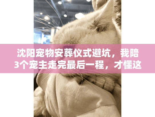 沈阳宠物安葬仪式避坑，我陪3个宠主走完最后一程，才懂这些要命细节