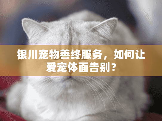 银川宠物善终服务，如何让爱宠体面告别？