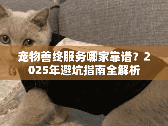 宠物善终服务哪家靠谱？2025年避坑指南全解析