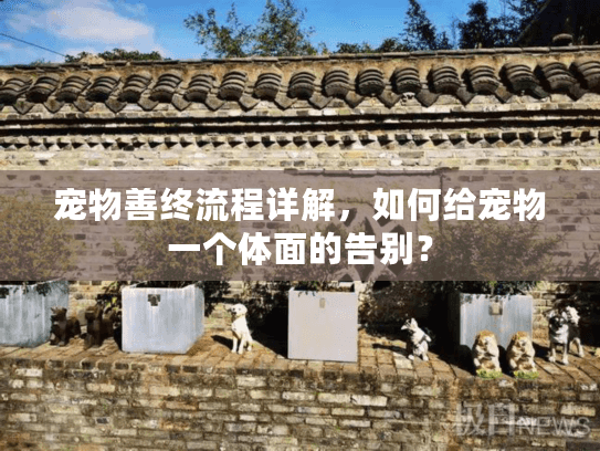 宠物善终流程详解，如何给宠物一个体面的告别？