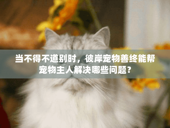 当不得不道别时，彼岸宠物善终能帮宠物主人解决哪些问题？