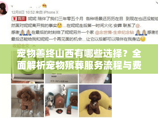 宠物善终山西有哪些选择？全面解析宠物殡葬服务流程与费用